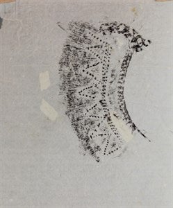 Image description is not available for FIM2014.196